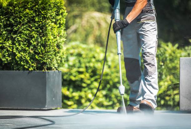 Best House Exterior Washing  in Centralia, MO